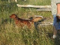8/13/02 6:40  PM - Rocky