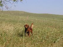 9/7/02 9:16  AM - Rocky