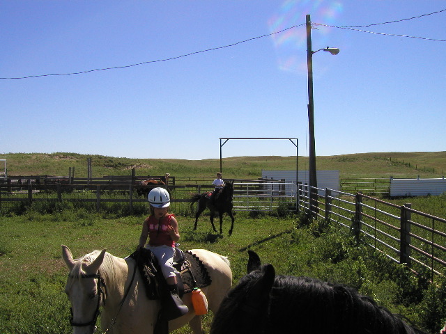 8/14/02 10:29  AM - I am going to have to paint these nails again.  Riding the hills on horses and ATV's is just killing them.