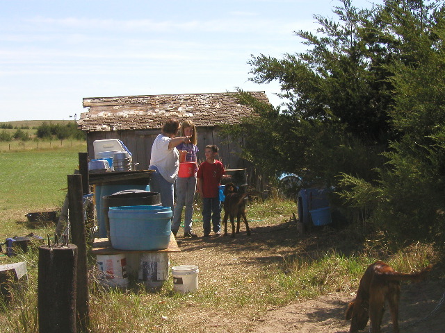 8/15/02 2:35  PM - ...and gotta feed these dogs...