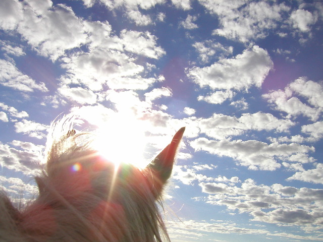 8/13/02 7:15  AM - Good morning Big Sky!