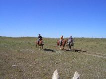 8/14/02 9:33  AM - Roger, Sonya, and Jason are just too efficient moving the herd to the next pasture south...just when reinforcements were arriving.