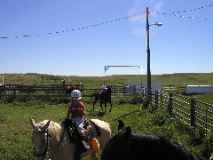 8/14/02 10:29  AM - I am going to have to paint these nails again.  Riding the hills on horses and ATV's is just killing them.