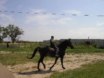 8/16/02 10:21  AM - Just keeping these horses on their toes, Dad!