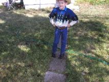 8/10/02 2:47  PM - Guess who just got back from Ranchland?