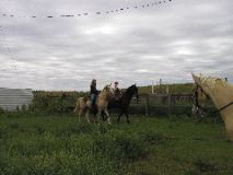 8/12/02 10:06  AM - Owen's first time riding alone - on Gentle Ben
