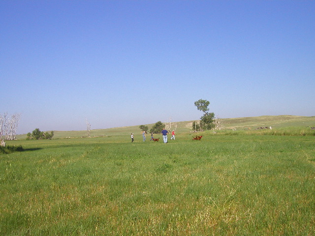 P8050034.JPG