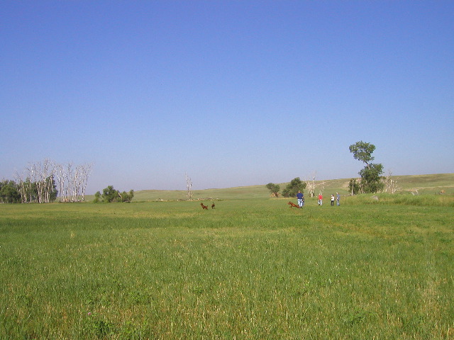 P8050035.JPG
