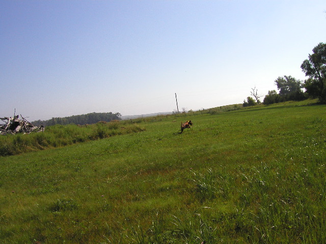 P8050036.JPG
