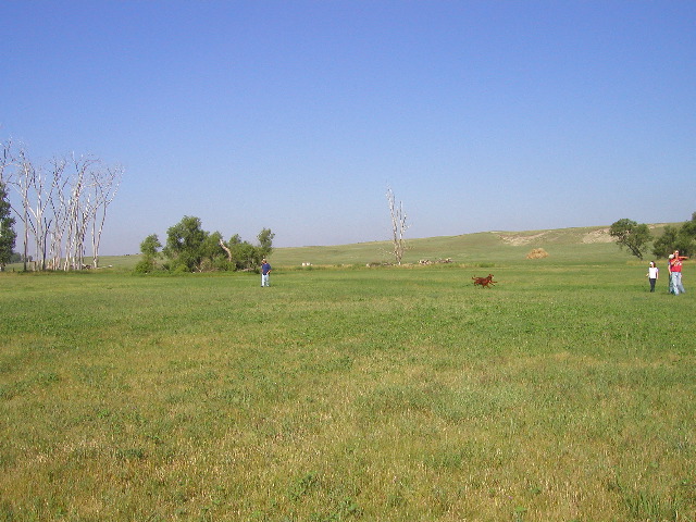 P8050039.JPG