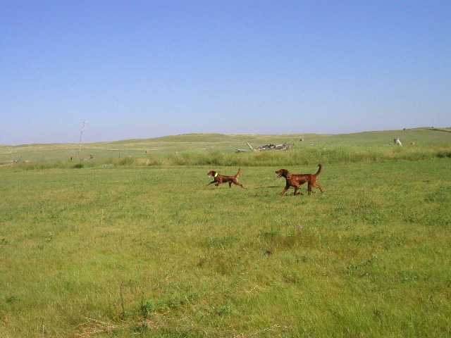P8050043.JPG