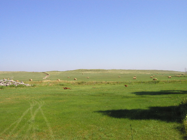P8050050.JPG
