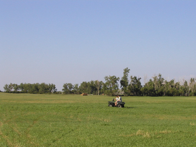P8100006.JPG
