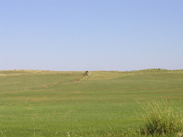 P8100013.JPG