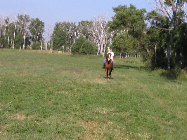 P8110021.JPG