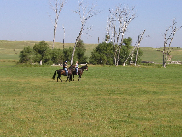P8110025.JPG
