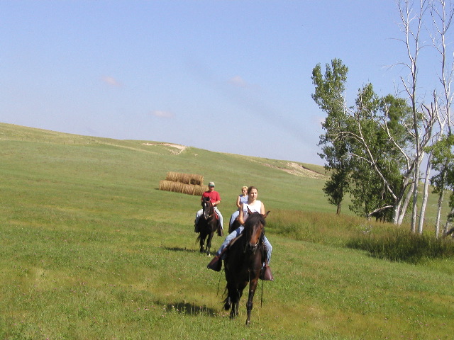 P8110030.JPG
