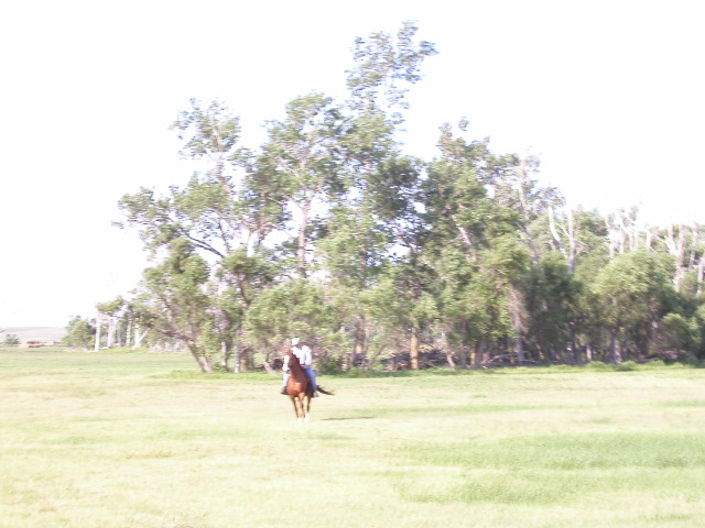 P8130054.JPG