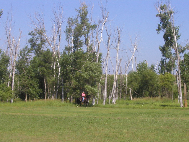 P8140070.JPG