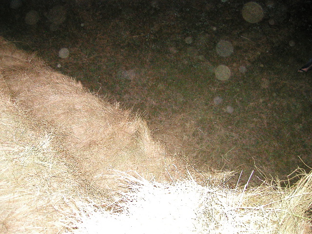 P8020133.JPG