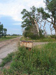 IMG_1864.JPG