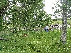 IMG_1923.JPG