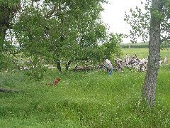 IMG_1924.JPG