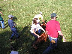 P8050047.JPG