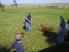 P8050048.JPG