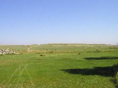 P8050050.JPG