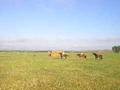 P8060080.JPG