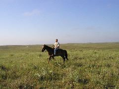 P8060085.JPG