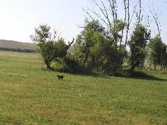 P8110018.JPG