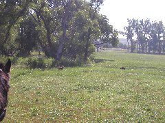 P8110020.JPG