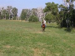 P8110021.JPG