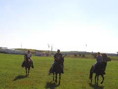 P8110026.JPG