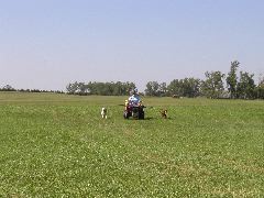 P8110028.JPG