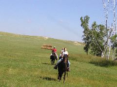 P8110030.JPG