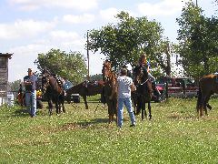 P8120039.JPG