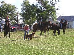 P8120041.JPG