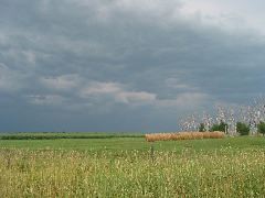 IMG_1882.JPG