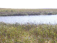 P8160075.JPG