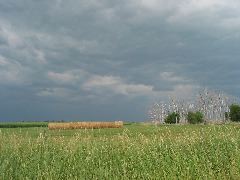 IMG_1884.JPG