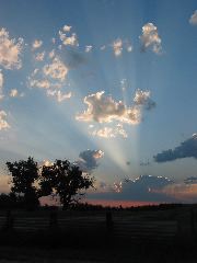 IMG_1886.JPG