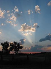 IMG_1887.JPG