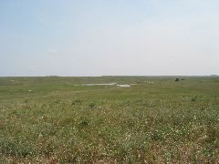 IMG_1892.JPG