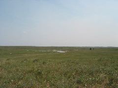 IMG_1893.JPG