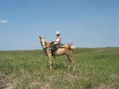 IMG_1894.JPG