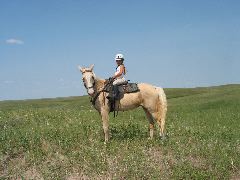 IMG_1896.JPG