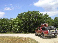 P8020110.JPG